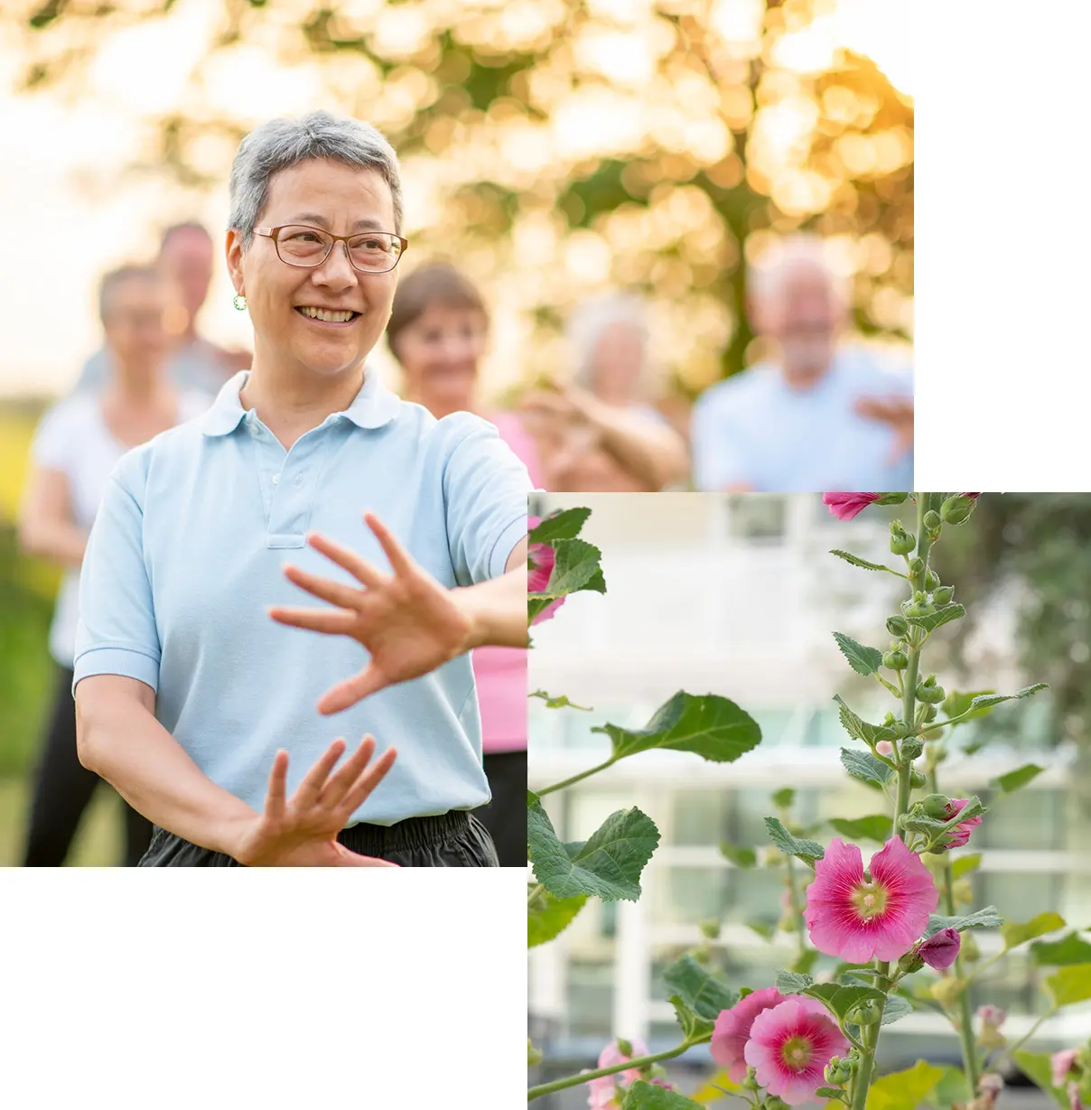 seniors exercising outdoors