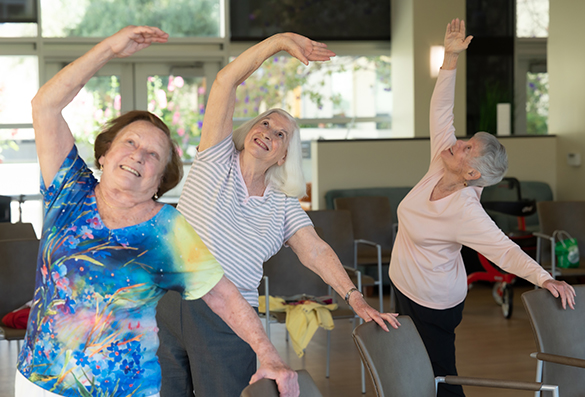 group of elderly people stretching